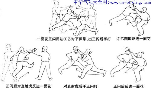 峨眉拳单式技法应用原理-韩静波